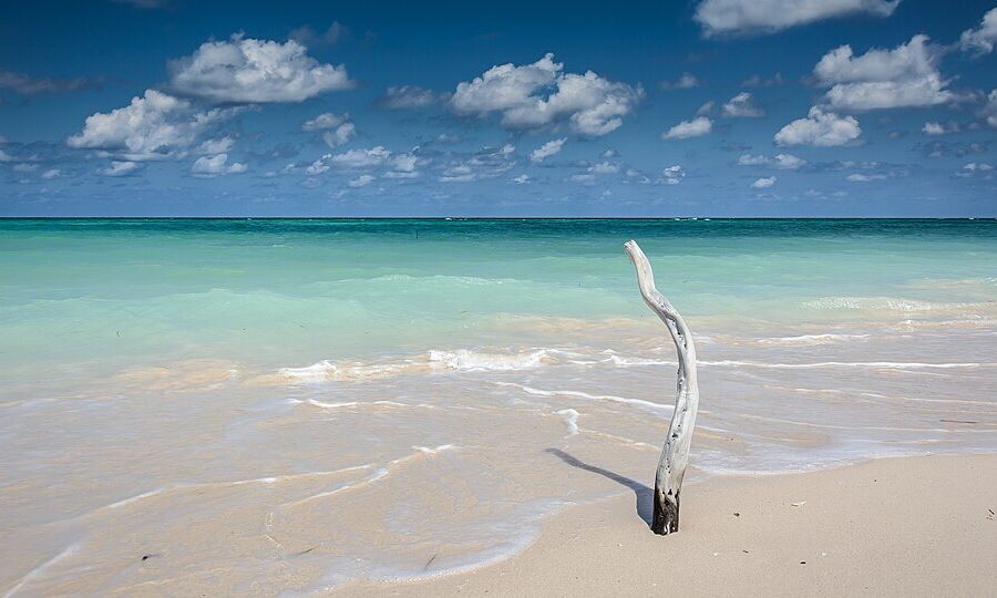 Cuba beach, light blue sea. shore.
