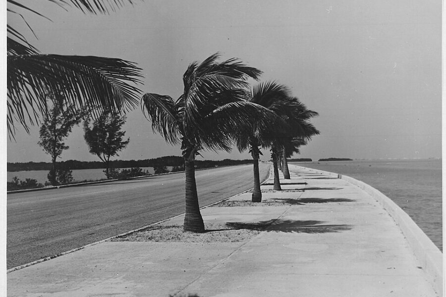 black and white picture of key west beach