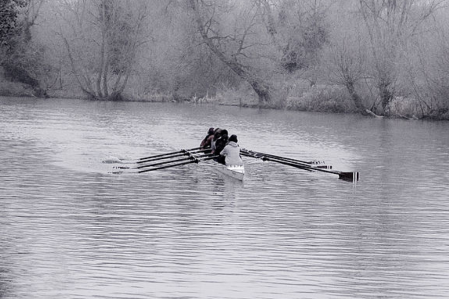rowing boats