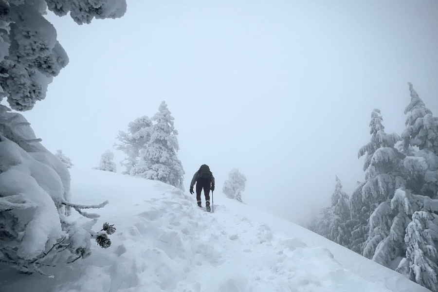 A lone hiker ascends a snow-covered trail on a foggy winter day, surrounded by heavily frosted evergreen trees. The muted light and thick mist create a serene, almost otherworldly alpine atmosphere.