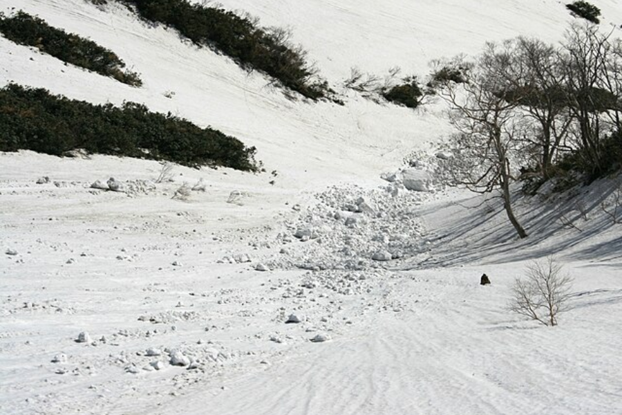 A snow-covered mountain slope with scattered debris and snow chunks left behind from a recent avalanche. Leafless trees and dark green shrubbery line the sides of the narrow gully, showing where the snow tumbled through.